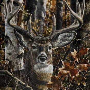 Arbre cerf dans fore t