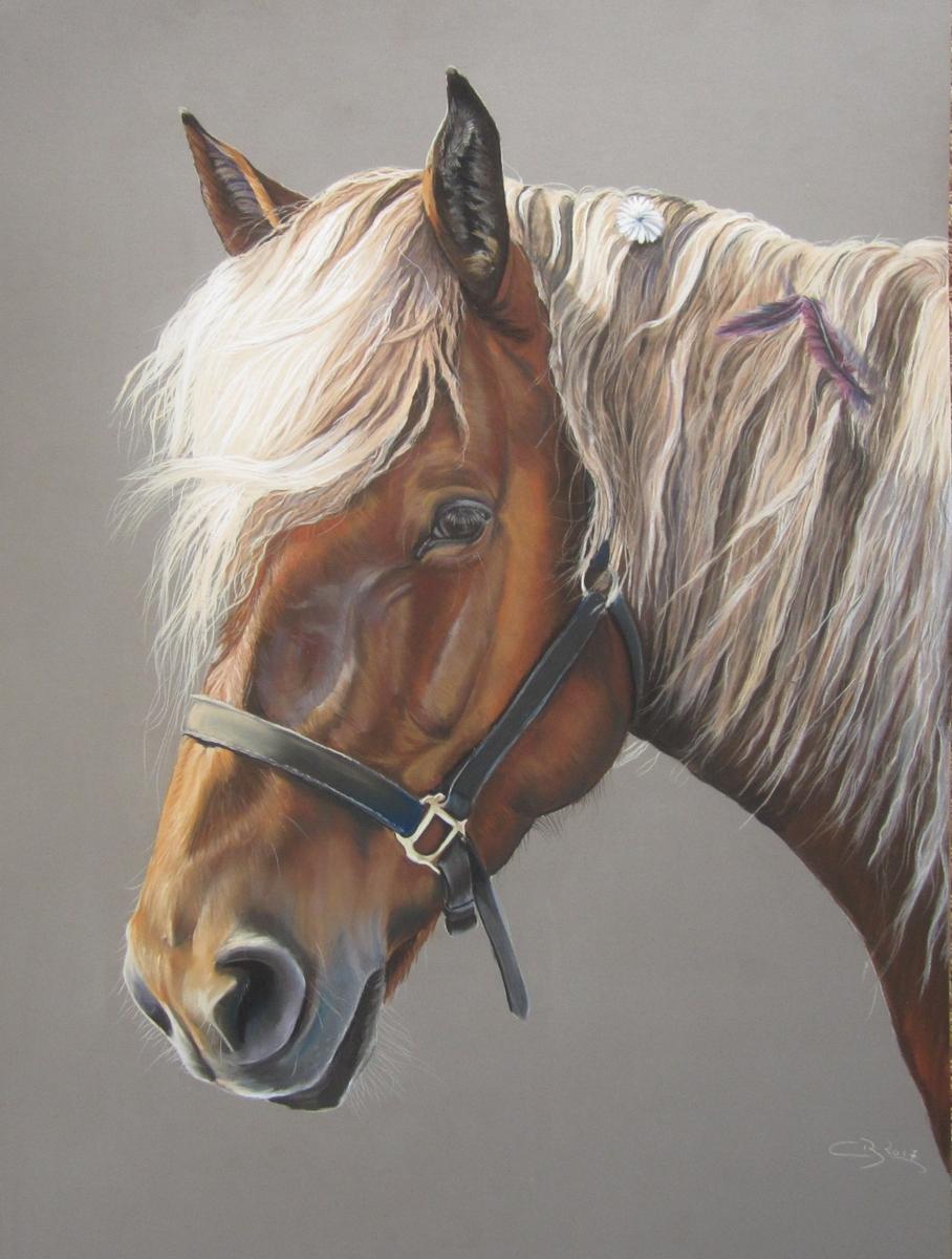 Cheval-La broderie