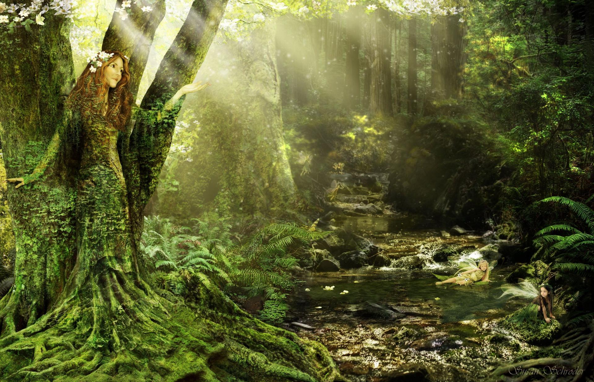 Dryade-arbre-atys