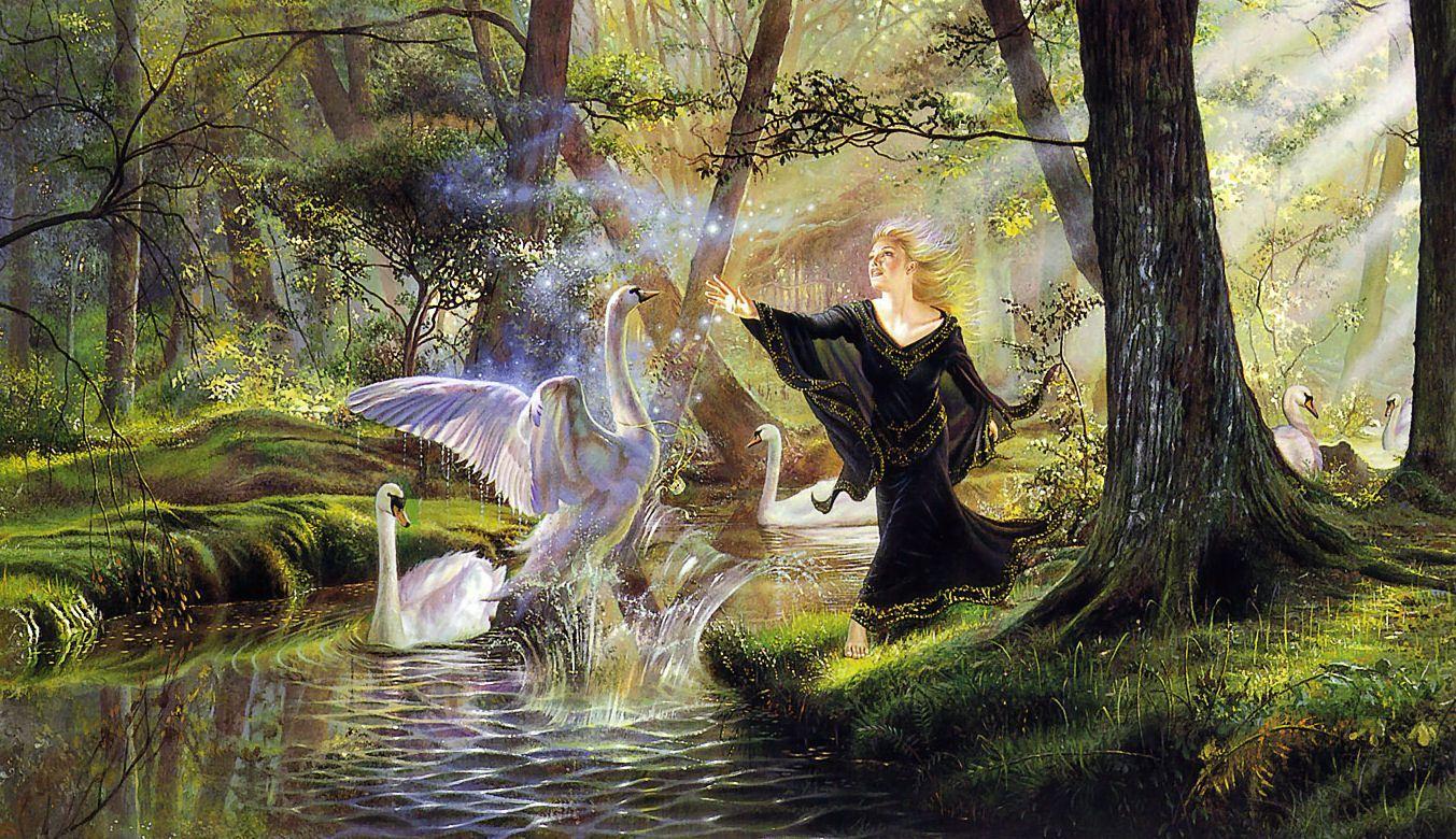 Femme et cygnes dans forêt