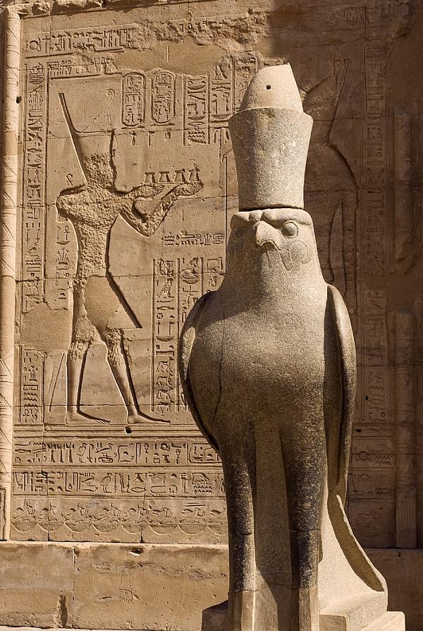 Horus dieu faucon