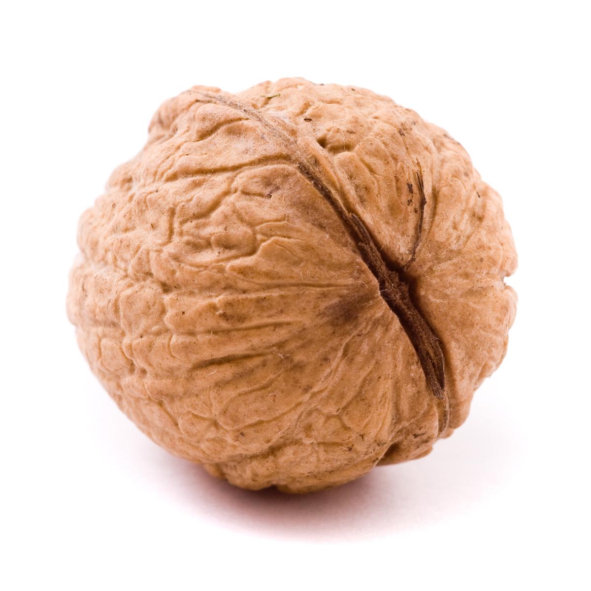 Noix
